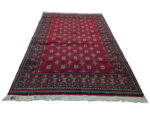 Stunning Afghan Kunduz Bukhara Carpet 249 x 167 CM - Image 2
