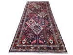 Bakhtiari Runner