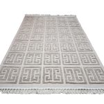 Beige Brown Jute Carpet