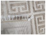 Beige Brown Jute Carpet